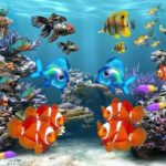 Everything You Need to Know About Marine Products