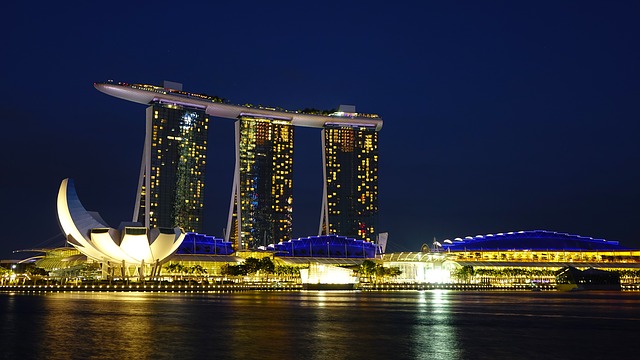 Insider Tips Before Moving to Singapore for Work