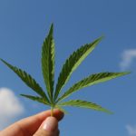 6 Reasons You Might Benefit from Recreational Cannabis
