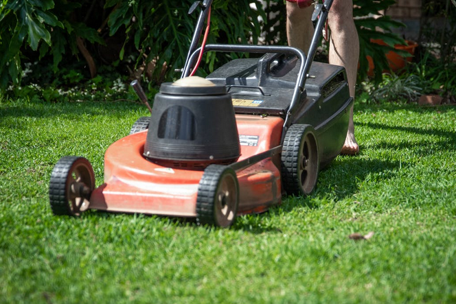 Electric Mower: Pros, Cons, And How To Choose The Right One For You