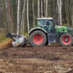 Professional Tree Removal Cost: A Look at the Factors That Impact Price