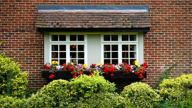 Easy Ways to Make Your Home Greener