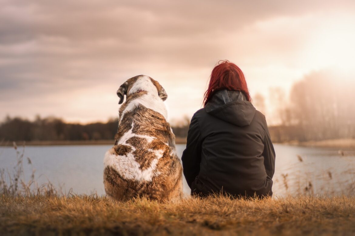 Improve Your Mental Health by Owning a Pet