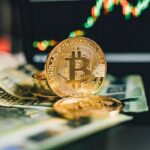 Transfer Money Between Borders with Low Fees by Using Cryptocurrencies