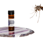 Discover the Magic of Essential Oils: A Comprehensive Guide