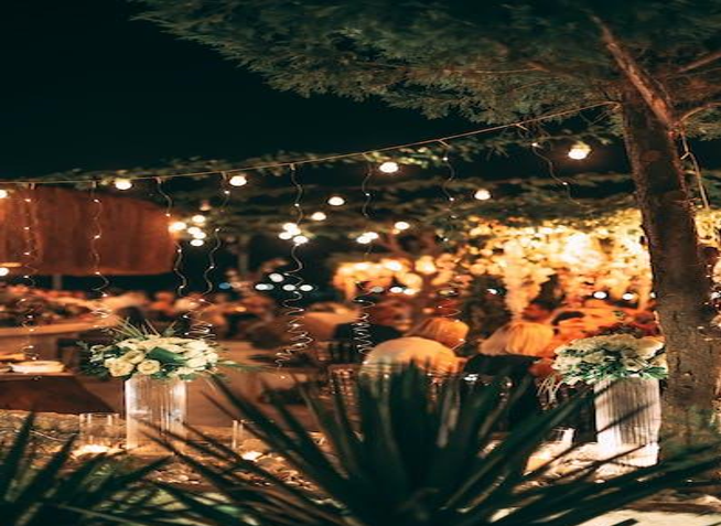 How to Light Up Your Yard