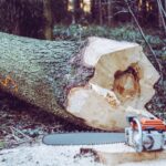What is Tree Felling?