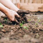 Benefits of Gardening and Landscaping