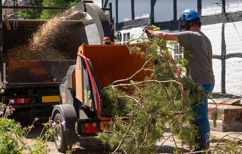 tree-trimming-services