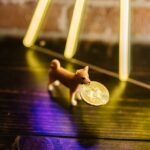 Exploring The Risks and Rewards of Investing in Defi