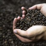 Artisan Coffee: What is it and is it Better?