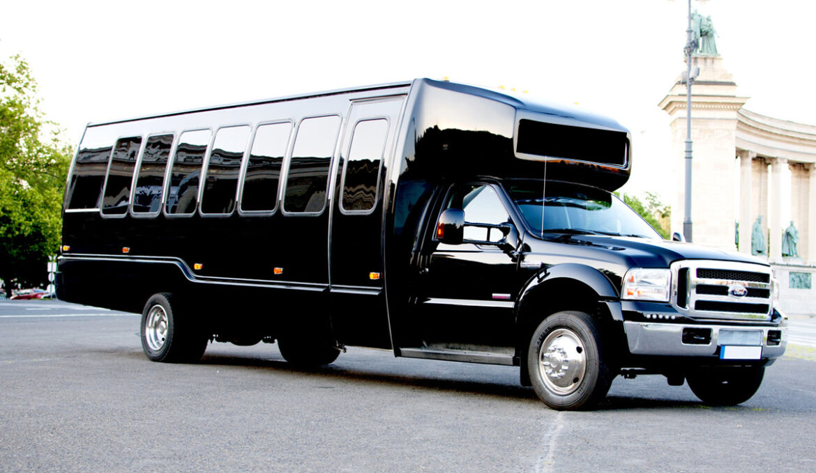 Behind the Scenes: A Look at the World of Professional Limousine Services