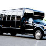 Behind the Scenes: A Look at the World of Professional Limousine Services