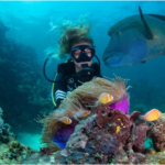 Reef Adventures: The Best Way to Experience Marine Life