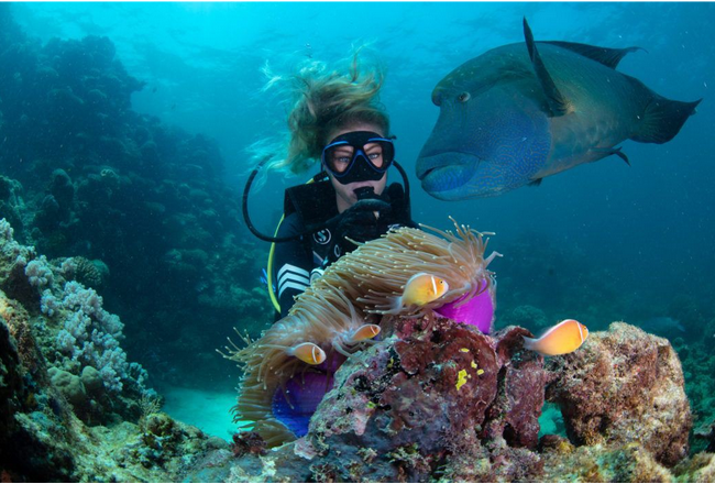 Reef Adventures: The Best Way to Experience Marine Life
