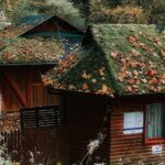 How Much Does a Leaf Filter Cost