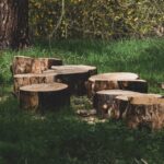 Preserving Nature’s Legacy: Safe Tree Removal Techniques