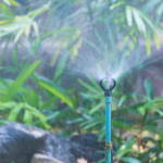 Water Conservation Starts in Your Backyard: The Power of Water-Efficient Landscaping