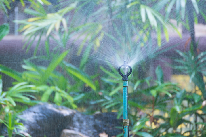 Water Conservation Starts in Your Backyard: The Power of Water-Efficient Landscaping