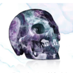 The Alluring Power and Mystery of Crystal Skulls Unveiled