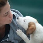 Nurturing Our Furry Friends: Finding A Veterinarian Kirrawee