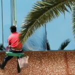 Crystal Clear Views: The Art and Importance of Professional Window Cleaners