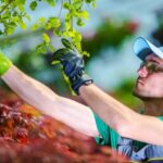 Integrated Pest Control for Aussie Gardens