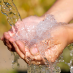 Insights into the Seasonal Changes Impacting Your Brisbane Water Expenses