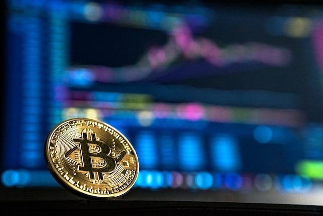 Juggling Risks and Rewards in Cryptocurrency: The Bitcoin Circus