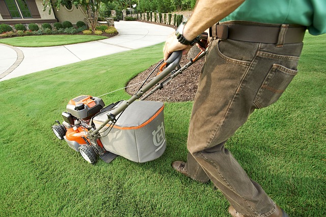 Specialist John Gulius shares: Why fall is the perfect time to aerate and overseed your lawn