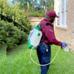 Dealing with a Rodent Infestation? Here’s How an Exterminator Can Help