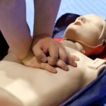 Life-Saving Foundations: A Deep Dive into Basic Life Support Classes
