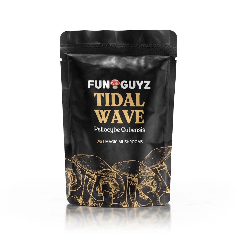 A Guide to Unique Magic Mushrooms Species