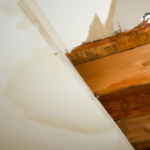 Uncovering Hidden Water Leaks: Signs You Shouldn’t Ignore