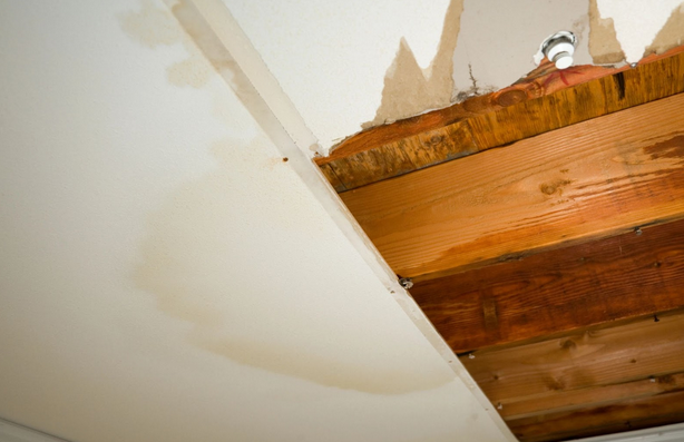 Uncovering Hidden Water Leaks: Signs You Shouldn’t Ignore
