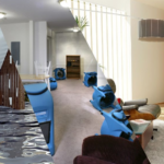 5 Questions to Ask Before Hiring a Mold Removal Service Provider