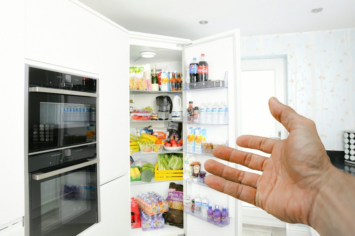 A Brief History Of The Refrigerator