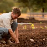 The Essential Guide to Sustainable Gardening with Coir Blocks