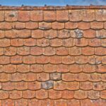 DIY vs. Professional Repair: What to Do About Missing Shingles
