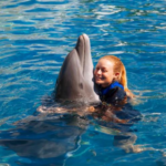 Dolphin Encounter Adventures in Miami Seaquarium