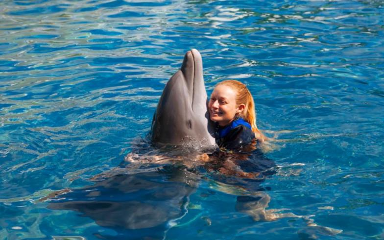 Dolphin Encounter Adventures in Miami Seaquarium