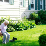 Landscaping Tips to Prepare for This Spring