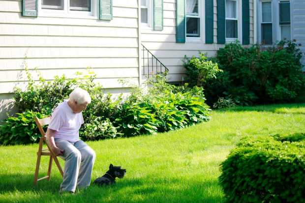 Landscaping Tips to Prepare for This Spring