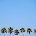 Buying a Business in Florida? Here’s What to Know First