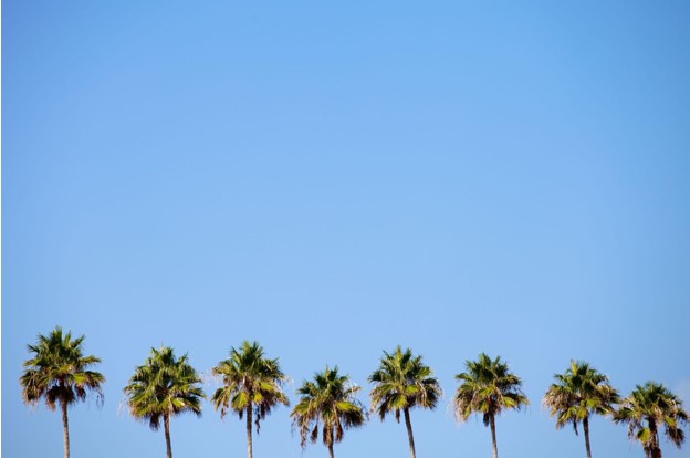 Buying a Business in Florida? Here’s What to Know First