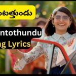 Daripontothundu Song Lyrics & Meaning: Telangana Folk Song