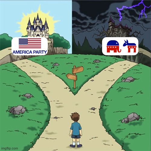 America Party Elon Musk