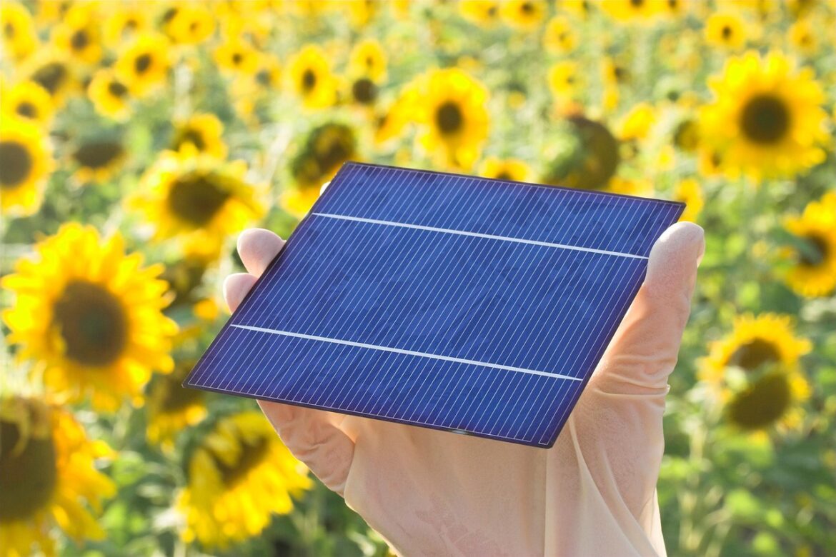 Solar Cell Efficiency: What It Means and Why It Matters