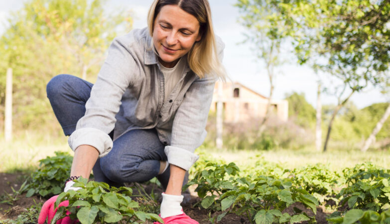 Homegrown Wellness Ideas