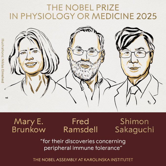 Nobel prize Physiology 2025